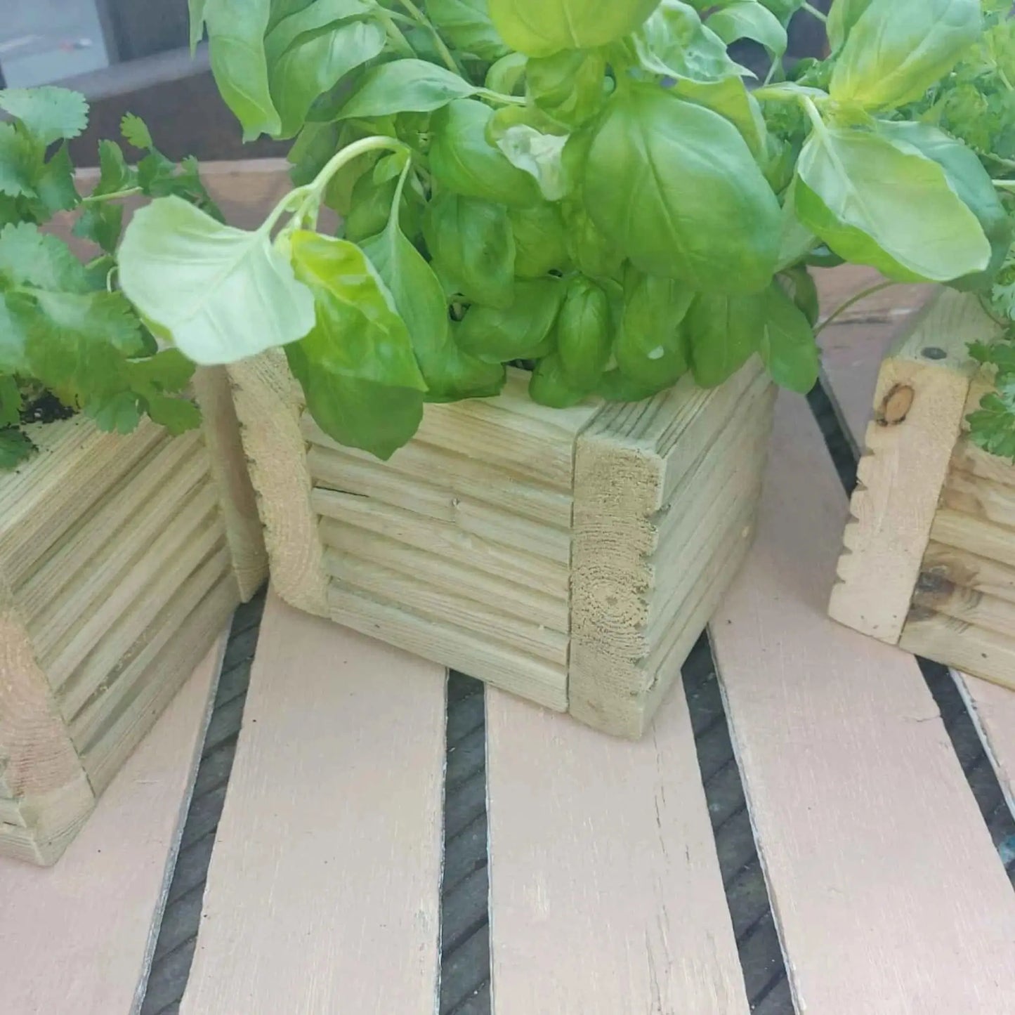 Wooden Decking herb planter boxes pack of 3 - Summer Wooden Planters