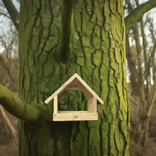 Bird feeder  table