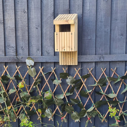 Summer Wooden Planters open faced nesting box for birds bird box